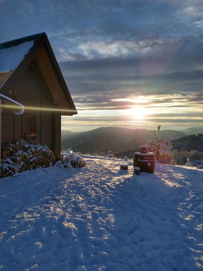 Vikendica Rankovici Villa Mokra Gora Eksteriør bilde